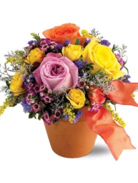 Teleflora's Sweet 'n Simple