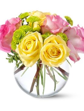 Teleflora's Pink Lemonade Roses