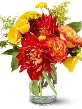 Teleflora's Dazzling Dahlias
