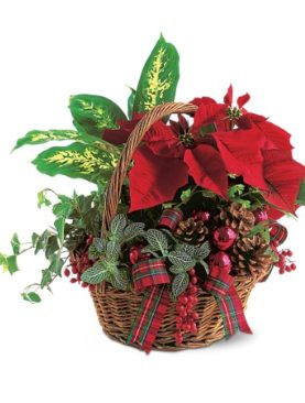 Holiday Planter Basket