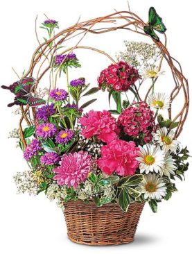 Touch of Butterflies