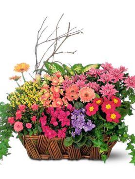 Deluxe European Garden Basket