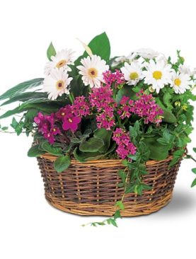 Traditional European Garden Basket