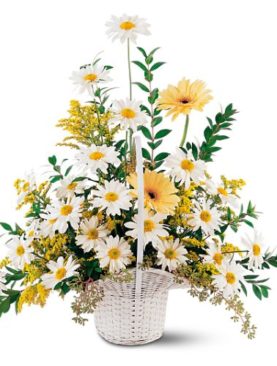 Drop of Sunshine Basket