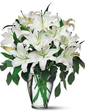 Perfect White Lilies