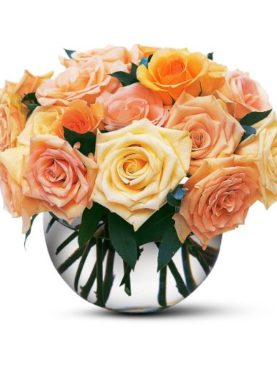 Perfect Pastel Roses