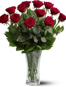 A Dozen Premium Red Roses
