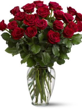 Two Dozen Red Roses