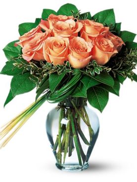 Perfectly Peachy Roses