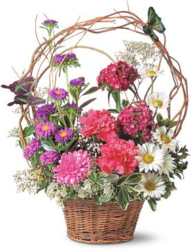 Birthday Butterflies