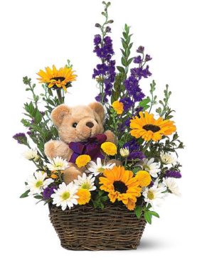 Basket & Bear Arrangement