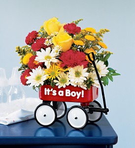 Baby's First Wagon-Boy