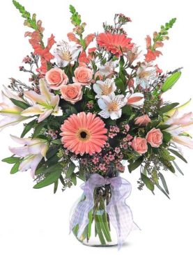 Celebrating Baby Girl