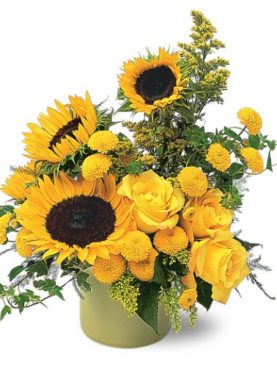 A Pot of Sunflowers