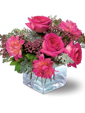 Perfect Pink Harmony