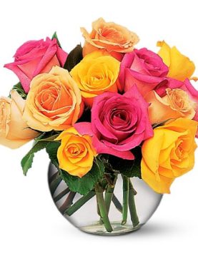 Multi-Colored Roses