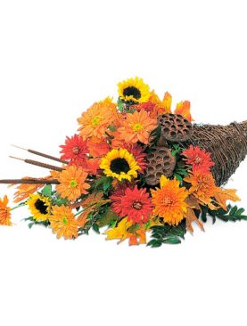 Captivating Cornucopia