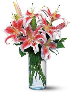 Lovely Lilies